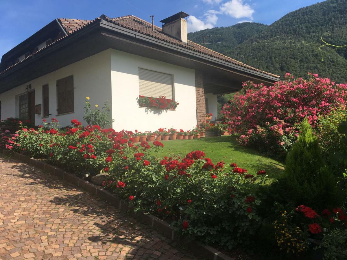 Willa Weingut Zundlhof Bolzano Zewnętrze zdjęcie