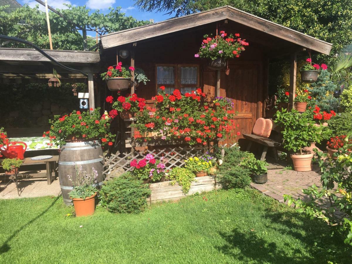 Willa Weingut Zundlhof Bolzano Zewnętrze zdjęcie